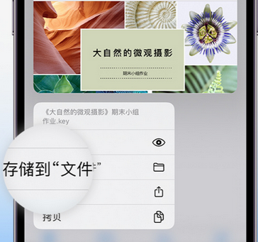 山海关apple维修中心分享iPhone文件应用中存储和找到下载文件