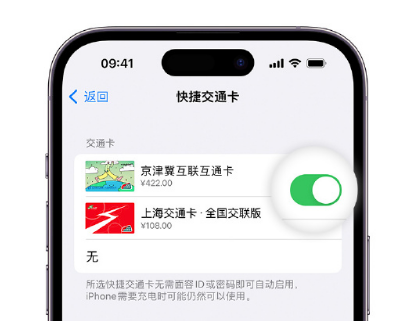 山海关apple维修点分享iPhone上更换Apple Pay快捷交通卡手绘卡面 