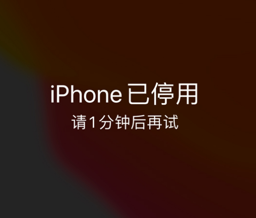 山海关苹果手机维修分享:iPhone 显示“不可用”或“已停用”怎么办？还能保留数据吗？ 