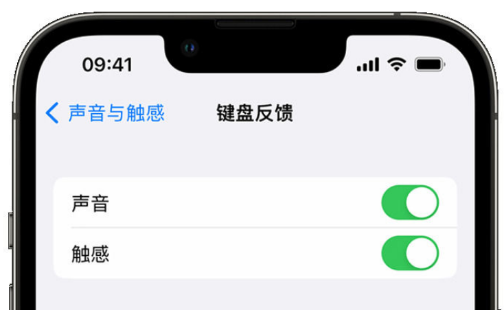 山海关苹果手机维修分享iPhone 14触感键盘使用方法 