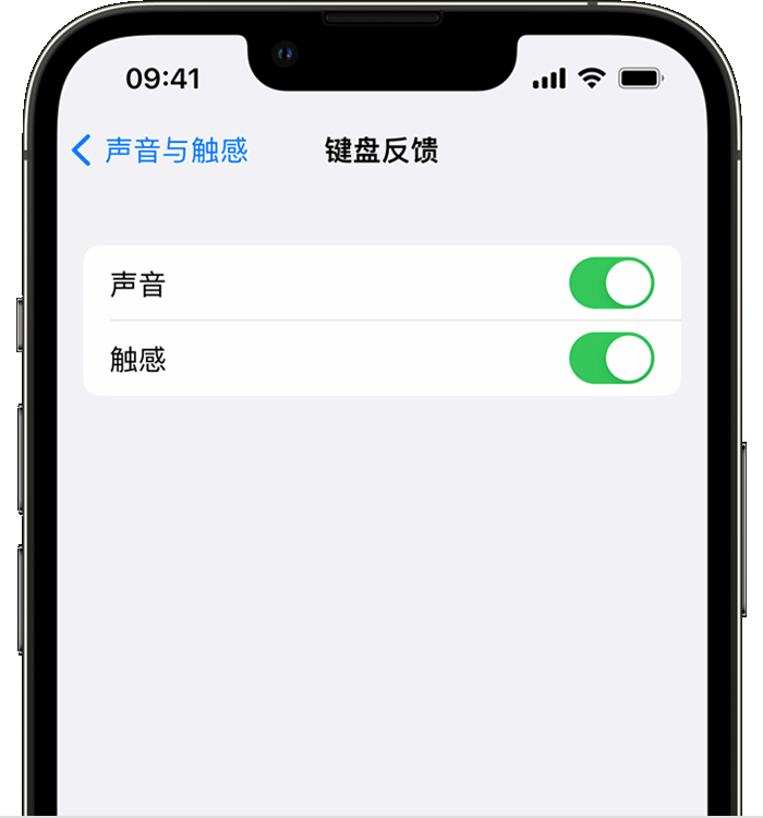 山海关苹果14维修店分享如何在 iPhone 14 机型中使用触感键盘 