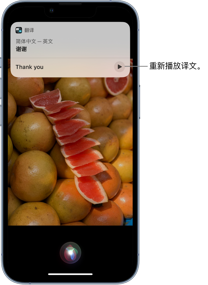 山海关苹果14维修分享 iPhone 14 机型中使用 Siri：了解 Siri 能帮你做什么 