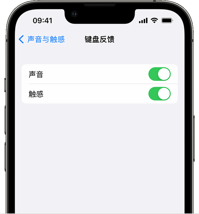 山海关苹果14维修分享iPhone 14 系列机型如何开启键盘声音或触感反馈 