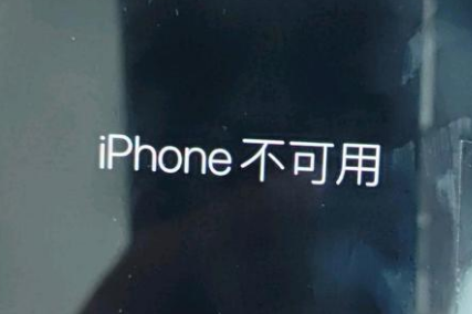 山海关苹果服务网点分享锁屏界面显示“iPhone 不可用”如何解决 