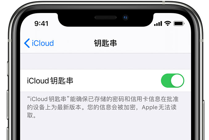 山海关苹果手机维修分享在 iPhone 上开启 iCloud 钥匙串之后会储存哪些信息 