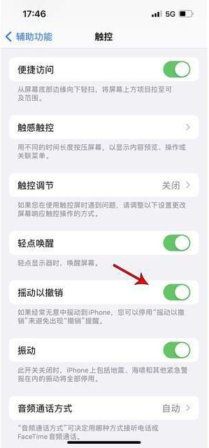 山海关苹果手机维修分享iPhone手机如何设置摇一摇删除文字 