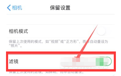 山海关苹果13维修分享iPhone13拍照有绿点是怎么回事 