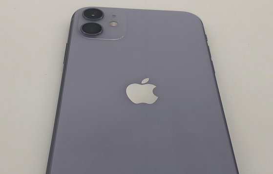山海关苹果11系统维修分享iPhone11手机系统崩溃无法开机如何解决 