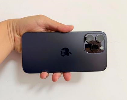 山海关苹果维修点分享iPhone 14 Pro Max发烫多重诱因剖析 